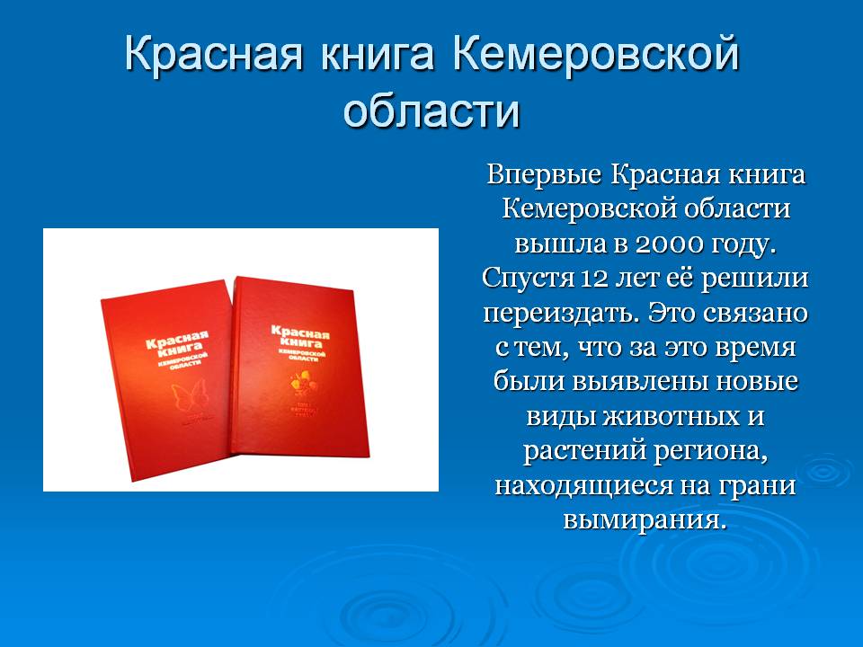Слайд2.JPG