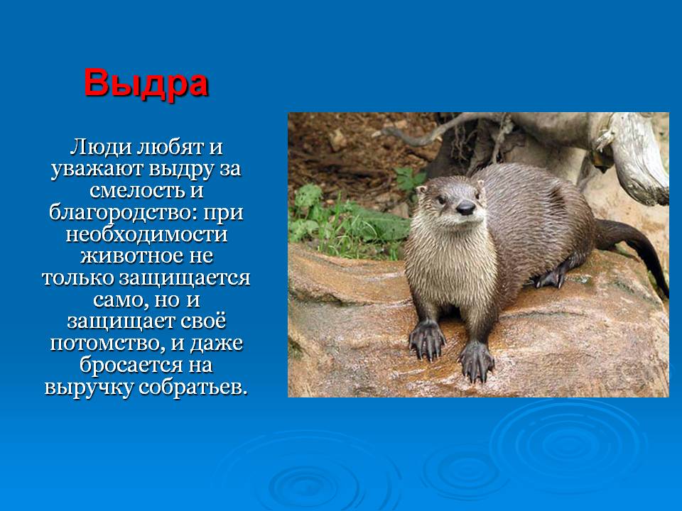 Слайд4.JPG