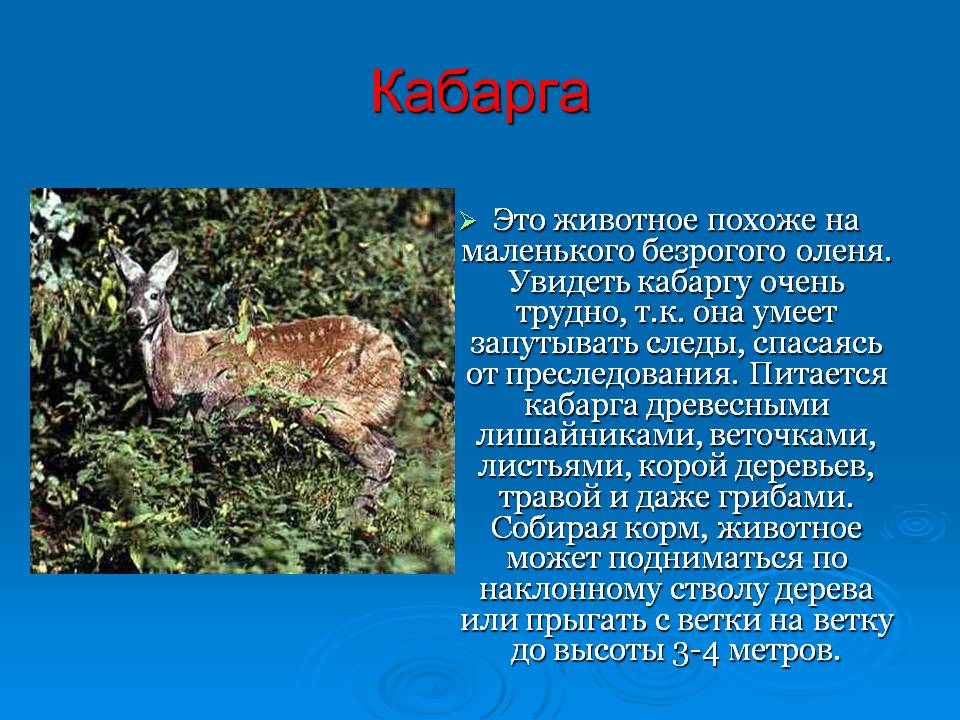 Слайд5.JPG