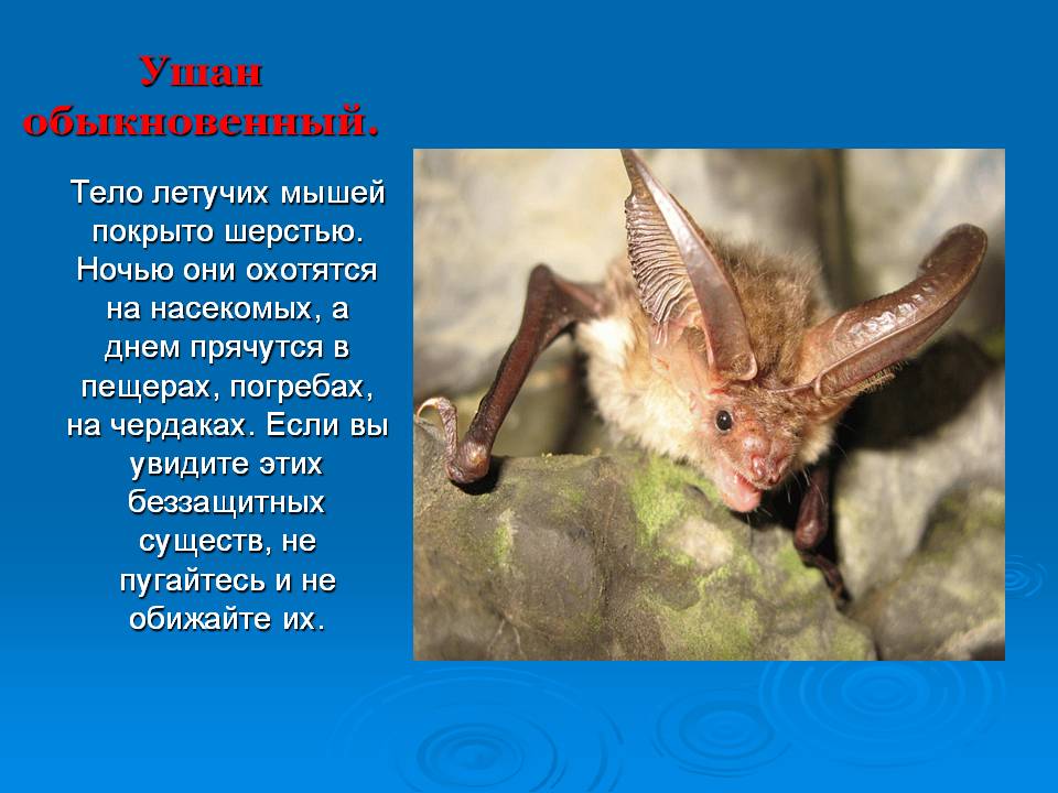 Слайд7.JPG