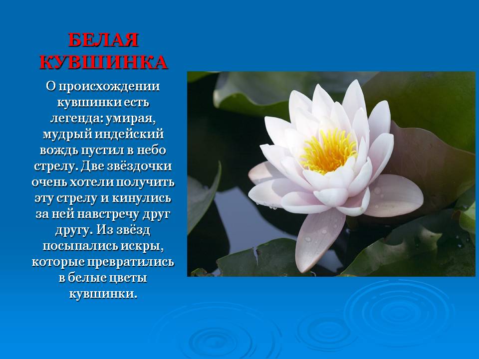 Слайд17.JPG