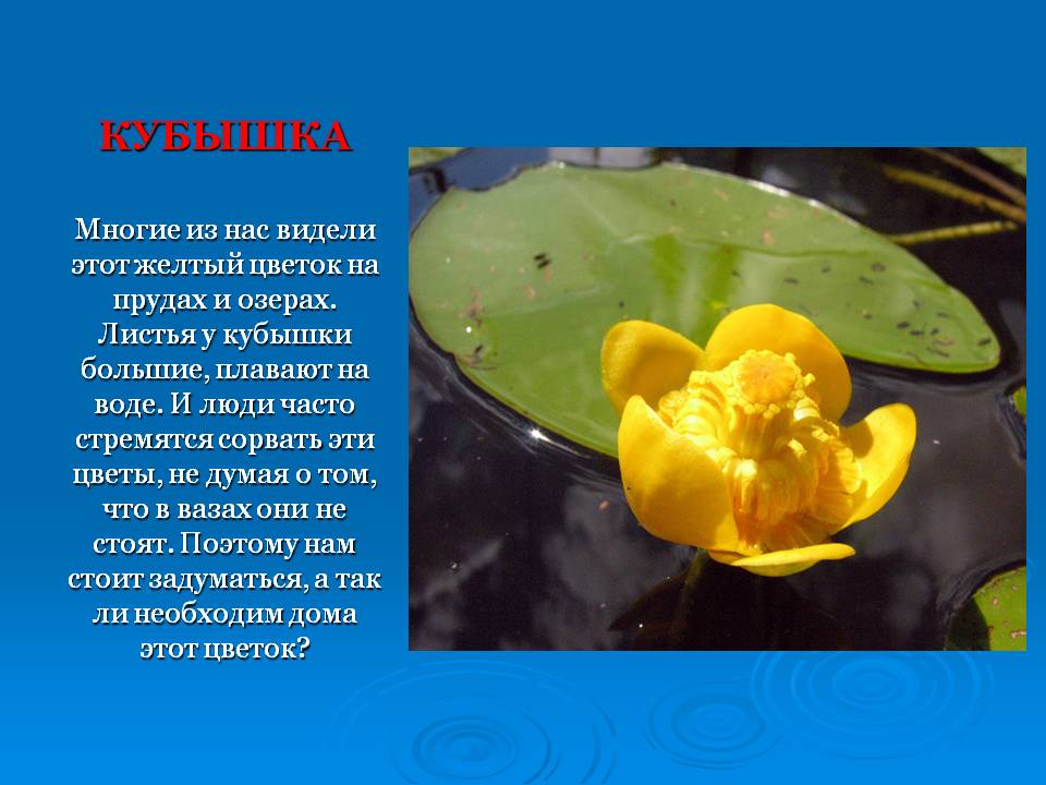 Слайд18.JPG