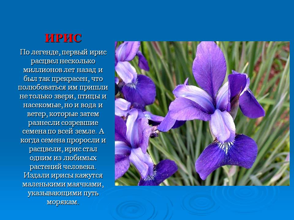 Слайд20.JPG