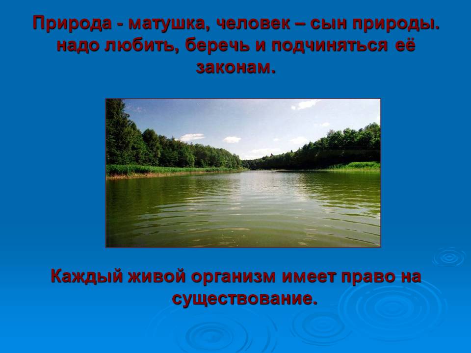 Слайд22.JPG